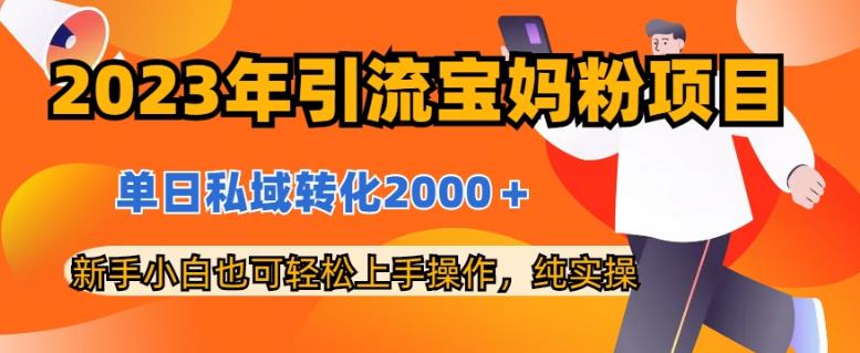 2023年引流宝妈粉项目，单日私域转化2000＋，新手小白也可轻松上手操作，纯实操-星璨学社