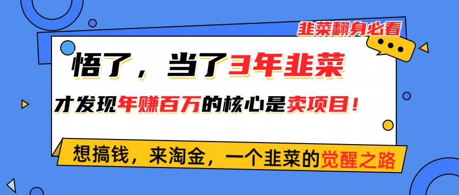 悟了，当了3年韭菜，才发现网赚圈年赚100万的核心是卖项目，含泪分享！-星璨学社