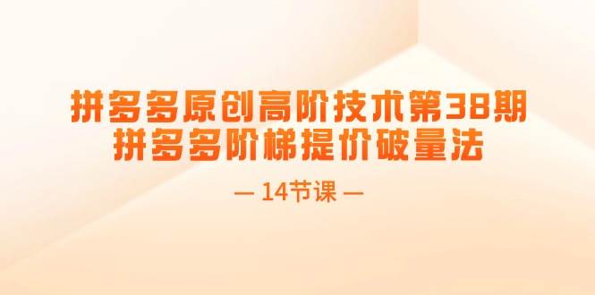 拼多多原创高阶技术第38期，拼多多阶梯提价破量法（14节课）-星璨学社