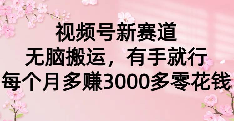 视频号新赛道，无脑搬运，有手就行，每个月多赚3000多零花钱-星璨学社