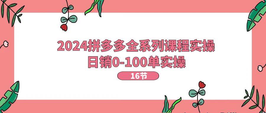 2024拼多多全系列课程实操，日销0-100单实操【16节课】-星璨学社