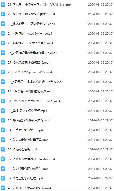图片[3]-2024小红书电商实战课：全体系打造 全方位梳理 小红书电商逻辑体系 (42节)-星璨学社
