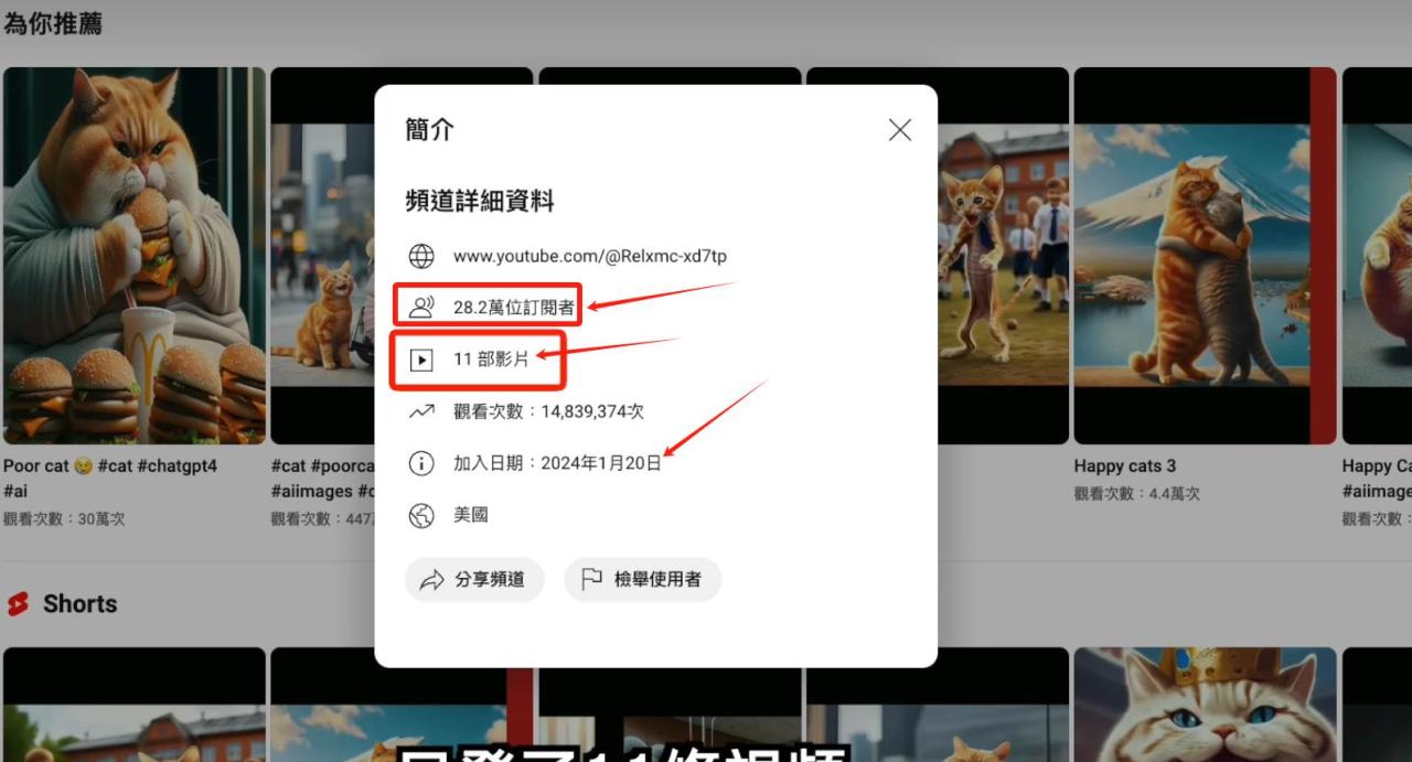 图片[2]-AI貓咪剧情号，30天涨粉100w，制作简单，一个视频全网分发，轻松月入1W+-星璨学社