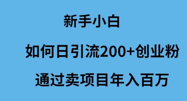 新手小白如何日引流200+创业粉通过卖项目年入百万-星璨学社