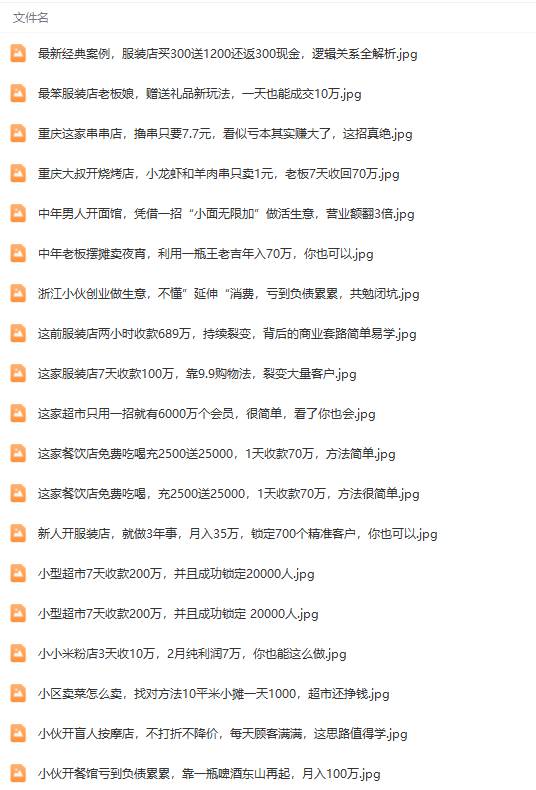 图片[6]-真实有效391套商业模式，年入几十到几百万案例解析（电子书+视频+图文）-星璨学社