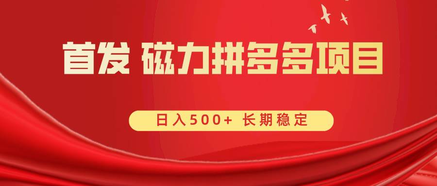 图片[1]-首发 磁力拼多多自撸  日入500+-星璨学社