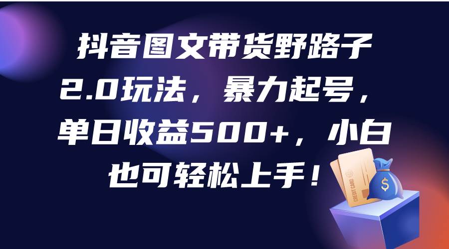 抖音图文带货野路子2.0玩法，暴力起号，单日收益500+，小白也可轻松上手！-星璨学社