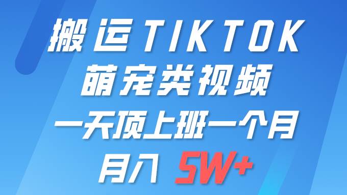 图片[1]-一键搬运TIKTOK萌宠类视频 一部手机即可操作 所有平台均可发布 轻松月入5W+-星璨学社