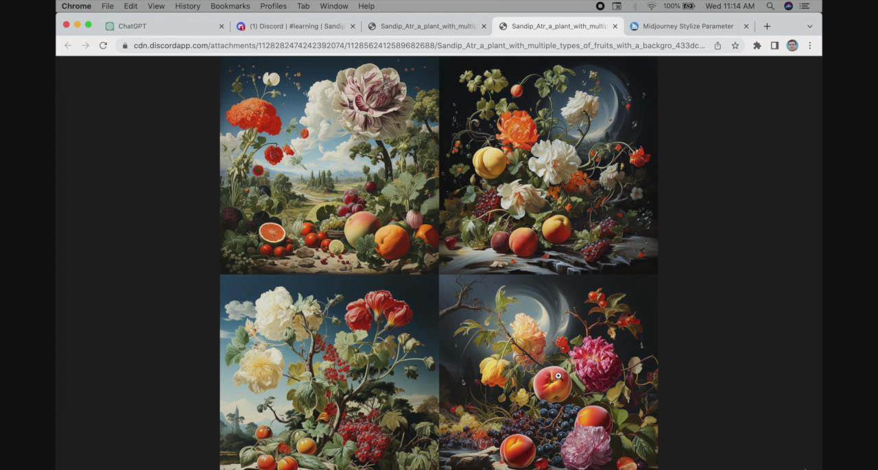 图片[3]-ChatGPT4 和 MidJourney AI 绘画聊天革命性指南教程-33节视频课-中英字幕-星璨学社