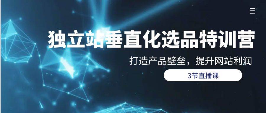 独立站-垂直化选品训练营，打造产品壁垒，提升网站利润（3节直播课）-星璨学社