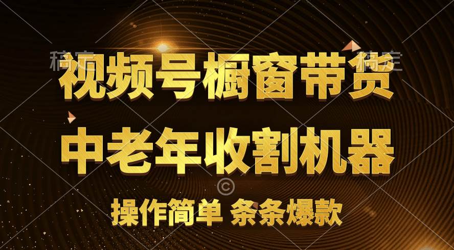 图片[1]-[你的孩子成功取得高位]视频号最火爆赛道，橱窗带货，流量分成计划，条…-星璨学社