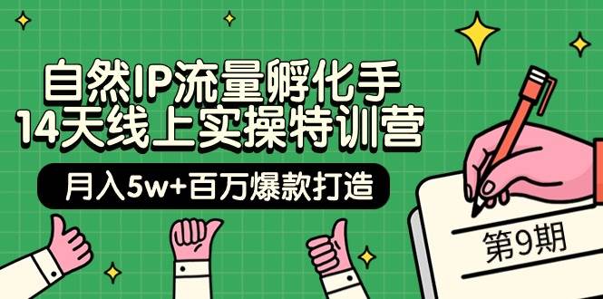 自然IP流量孵化手 14天线上实操特训营【第9期】月入5w+百万爆款打造 (74节)-星璨学社