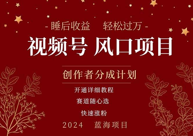 拥有睡眠收益的微信视频号大风口项目，轻松月入过万+，多赛道选择，可…-星璨学社