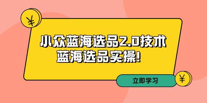 拼多多培训第33期：小众蓝海选品2.0技术-蓝海选品实操！-星璨学社