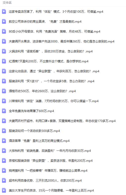 图片[8]-真实有效391套商业模式，年入几十到几百万案例解析（电子书+视频+图文）-星璨学社