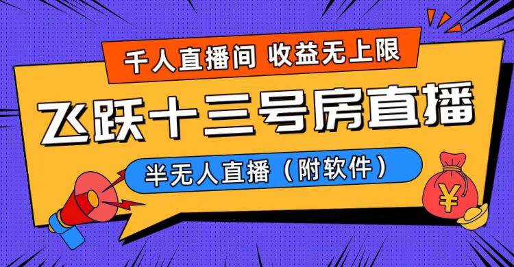 图片[1]-爆火飞跃十三号房半无人直播，一场直播上千人，日入过万！（附软件）-星璨学社