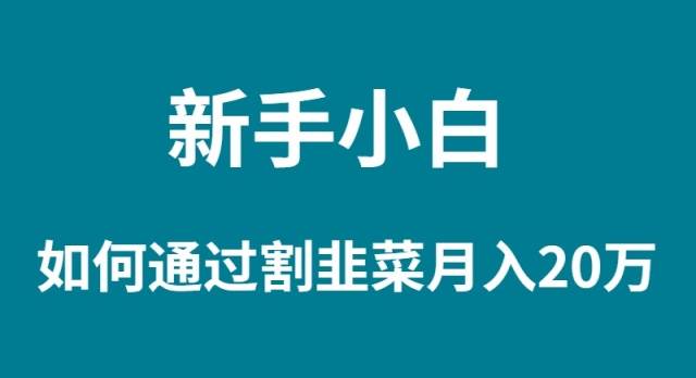 新手小白如何通过割韭菜月入 20W-星璨学社