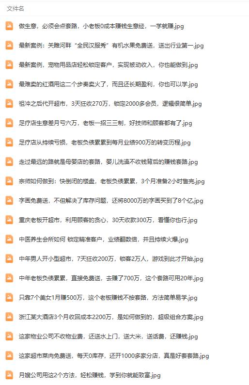 图片[5]-真实有效391套商业模式，年入几十到几百万案例解析（电子书+视频+图文）-星璨学社