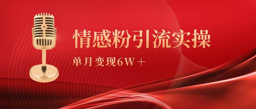 单月变现6w+，情感粉引流变现实操课-星璨学社