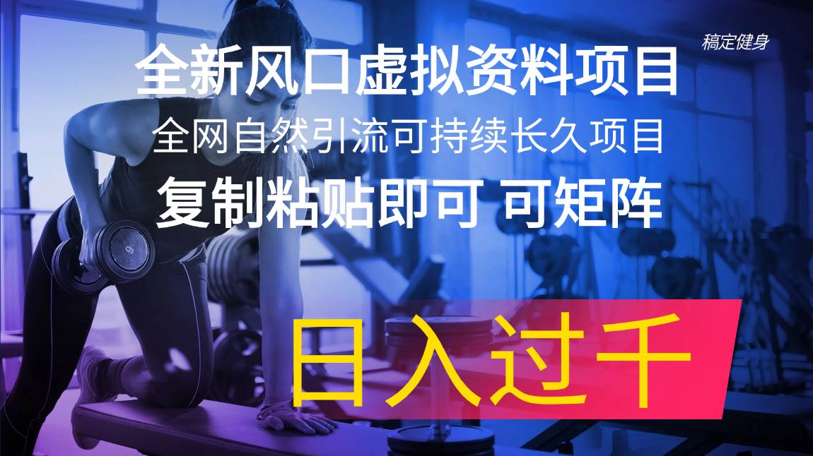 全新风口虚拟资料项目 全网自然引流可持续长久项目 复制粘贴即可可矩阵…-星璨学社