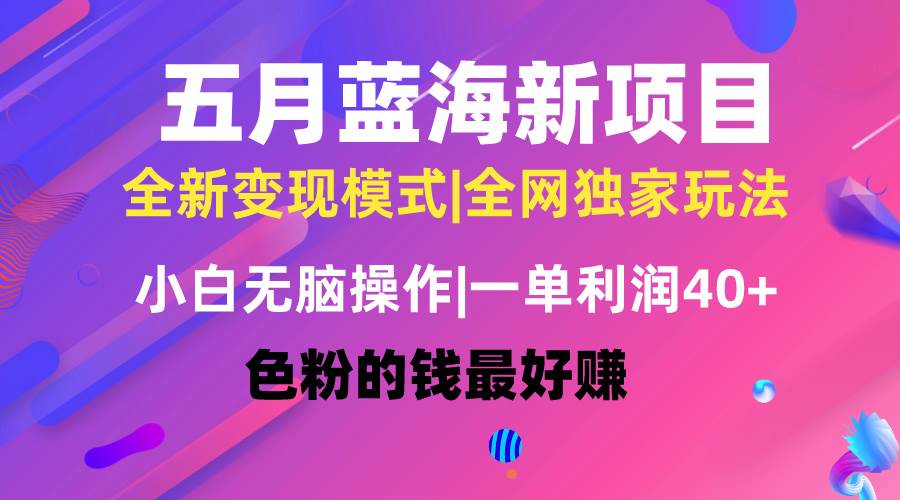 五月蓝海项目全新玩法，小白无脑操作，一天几分钟，矩阵操作，月入4万+-星璨学社