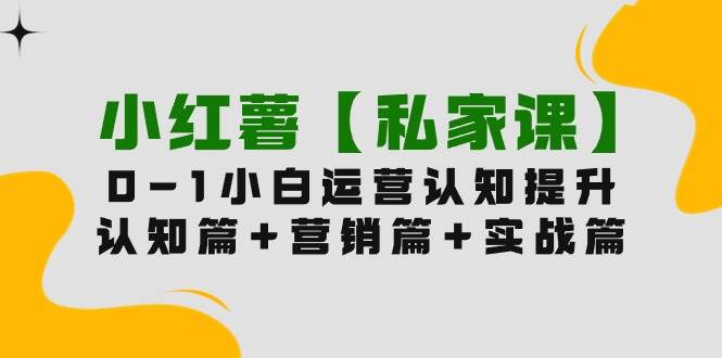 小红薯【私家课】0-1玩赚小红书内容营销，认知篇+营销篇+实战篇（11节课）-星璨学社