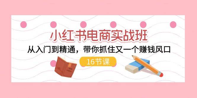 小红书电商实战班，从入门到精通，带你抓住又一个赚钱风口（16节）-星璨学社