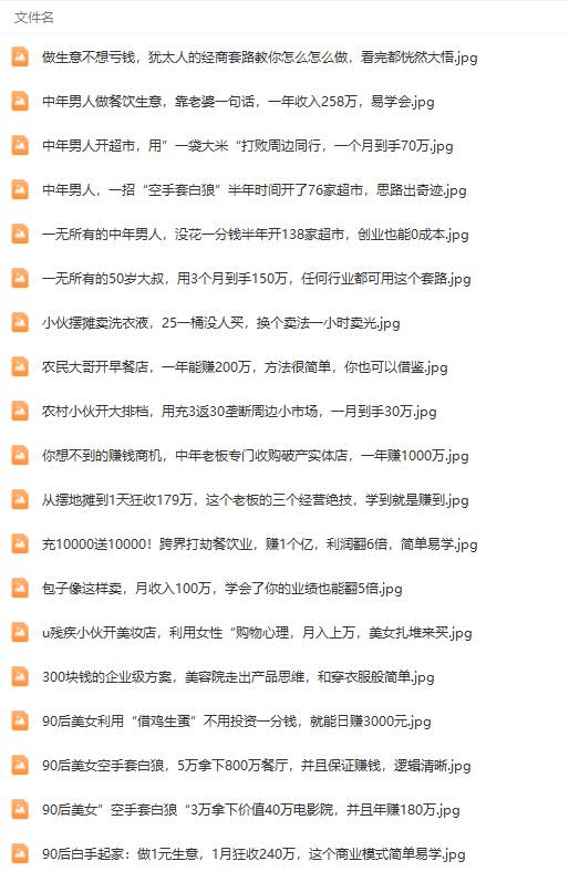 图片[7]-真实有效391套商业模式，年入几十到几百万案例解析（电子书+视频+图文）-星璨学社