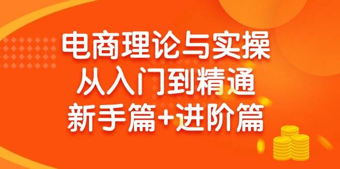 电商理论与实操从入门到精通 新手篇+进阶篇-星璨学社
