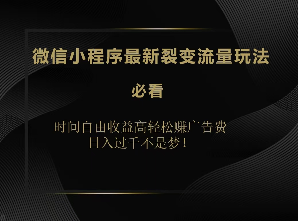 微信小程序最新裂变流量玩法，时间自由收益高轻松赚广告费，日入200-500+-星璨学社