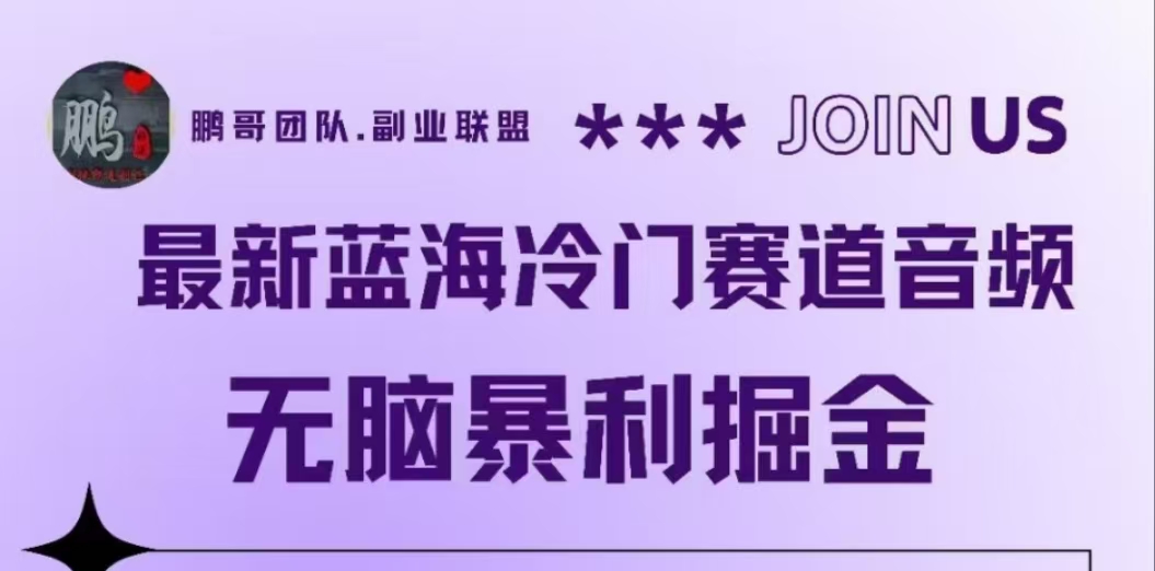 最新蓝海冷门赛道音频，无脑暴利掘金-星璨学社