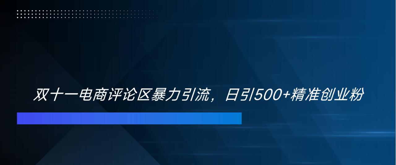 双十一电商评论区暴力引流，日引500+精准创业粉！！！-星璨学社