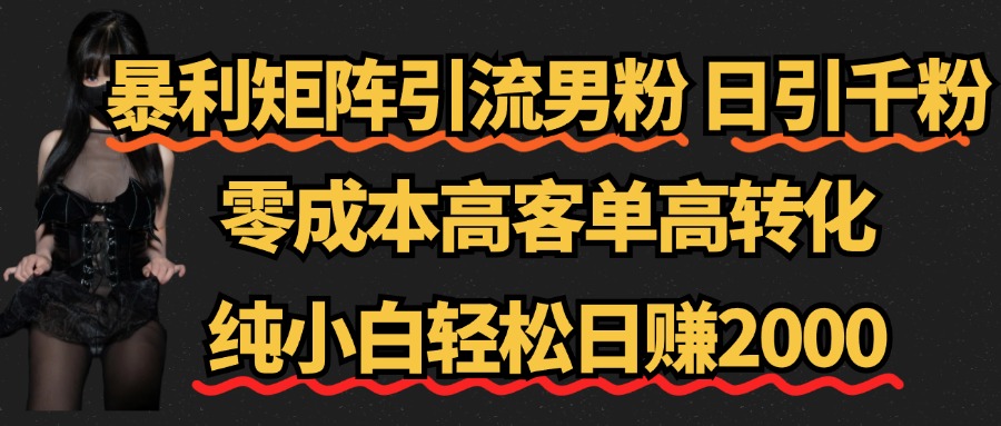 暴利矩阵引流男粉（日引千粉），零成本高客单高转化，纯小白轻松日赚2000+-星璨学社