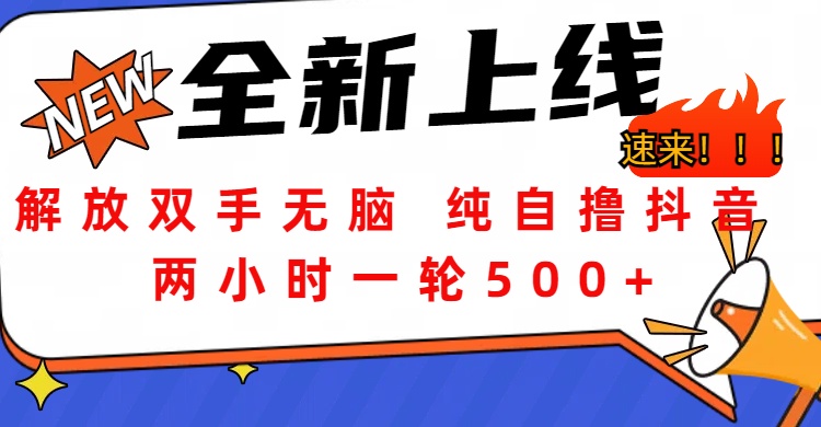 图片[1]-解放双手无脑 纯自撸抖音 两小时一轮500+-星璨学社