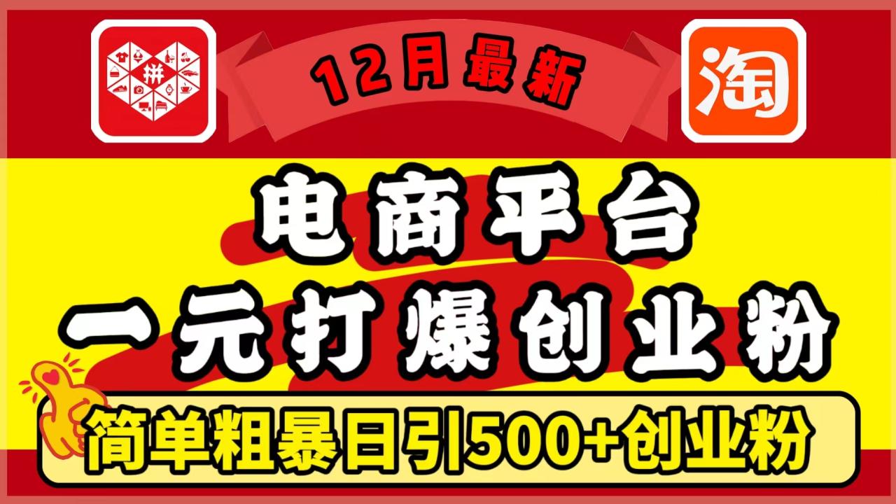 12月最新：电商平台1元打爆创业粉，简单粗暴日引500+精准创业粉，轻松月入5万+-星璨学社