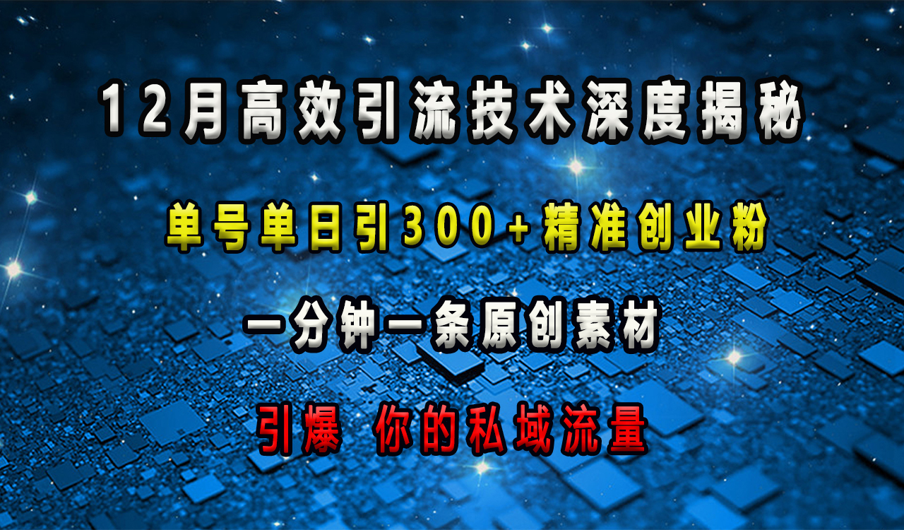 12月高效引流技术深度揭秘 ，单号单日引300+精准创业粉，一分钟一条原创素材，引爆你的私域流量-星璨学社