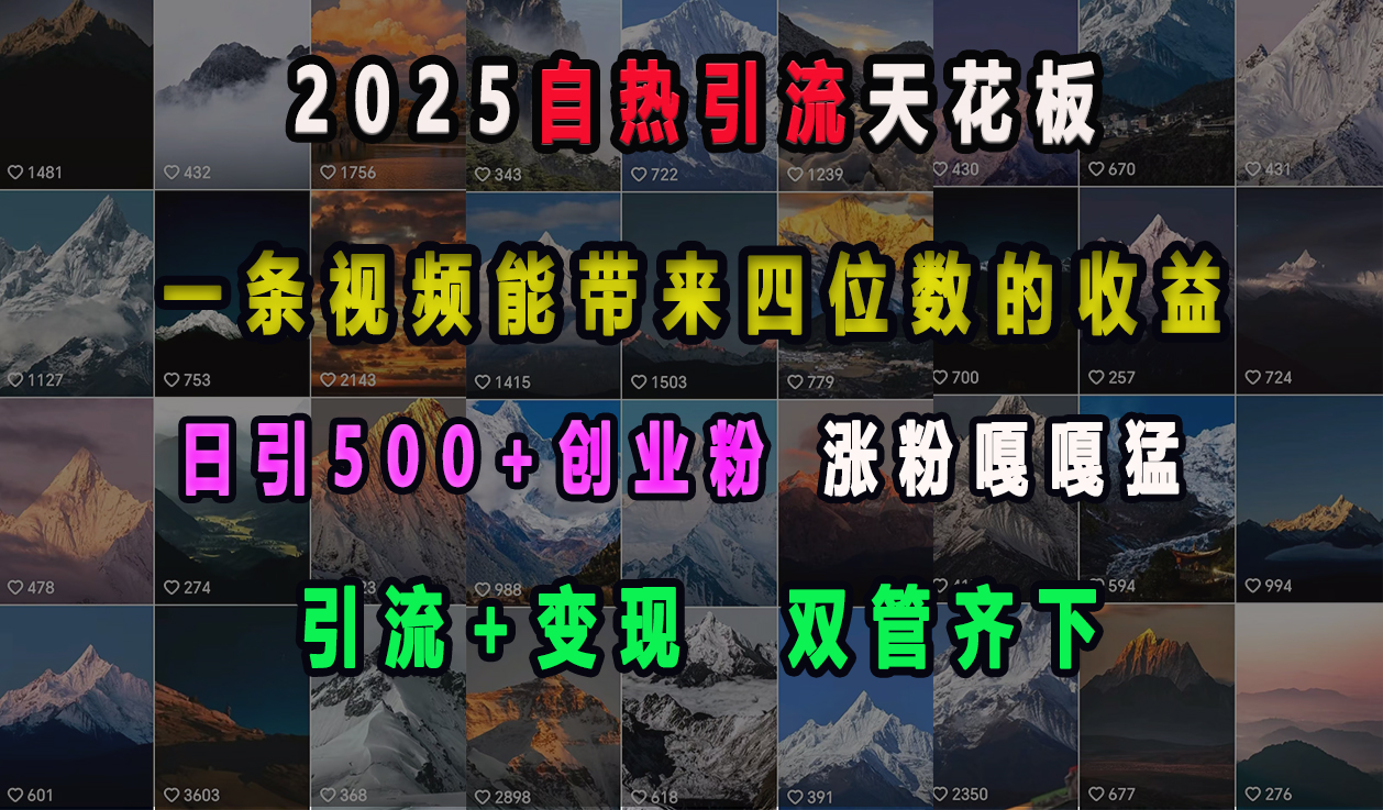 2025自热引流天花板，一条视频能带来四位数的收益，引流+变现双管齐下，日引500+创业粉，涨粉嘎嘎猛-星璨学社