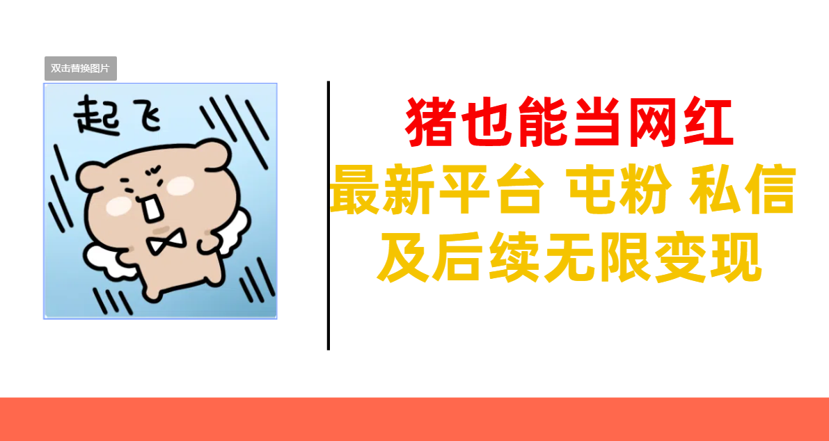 猪也能当网红-最新平台 屯粉 交流 私信 及后续无限变现-星璨学社