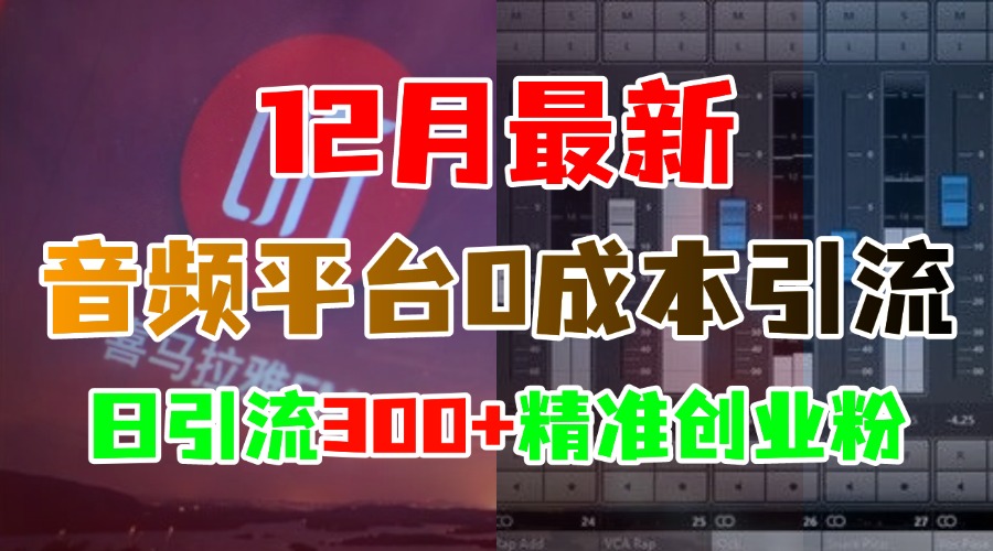 12月最新：音频平台0成本引流，日引300+精准创业粉-星璨学社