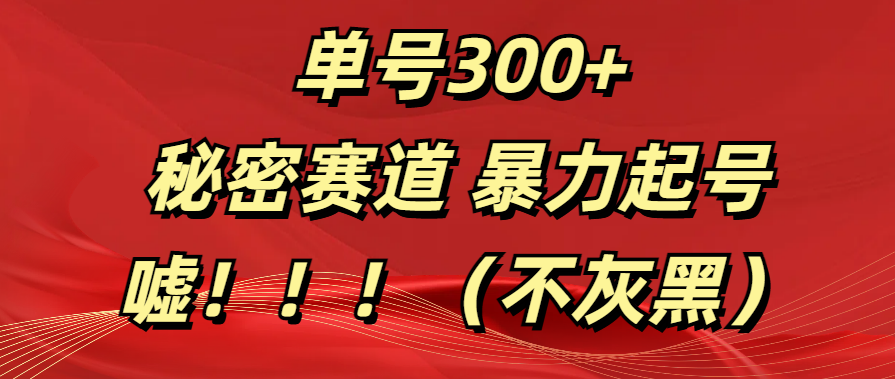 单号300+  秘密赛道 暴力起号  （不灰黑）-星璨学社