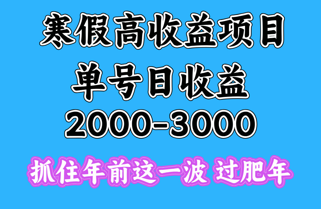 寒假期间一天收益2000-3000+，抓住年前这一波-星璨学社