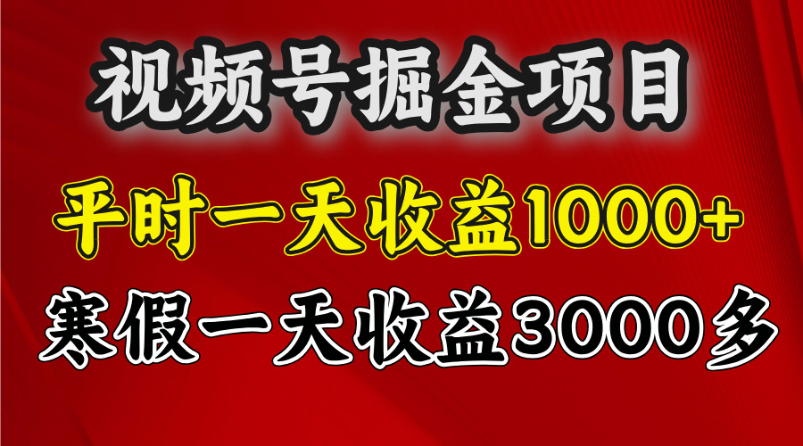 视频号掘金项目，寒假一天收益3000多-星璨学社