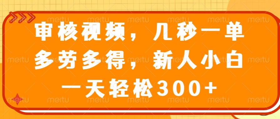 审核视频项目，几秒一单，多劳多得，新人小白一天轻松300+-星璨学社