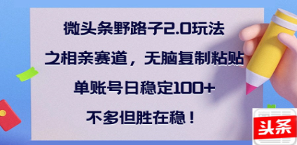 全网首发微头条野路子2.0玩法之相亲赛道，无脑搬砖复制粘贴，单账号日稳定300+保姆级教程-星璨学社