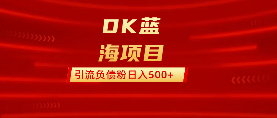 DK蓝海项目  通过，抖音，快手，小红书，引流负债粉日入500+-星璨学社