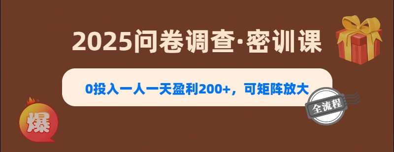 2025《问卷调查》0投入一人一天盈利200+，可矩阵放大-星璨学社