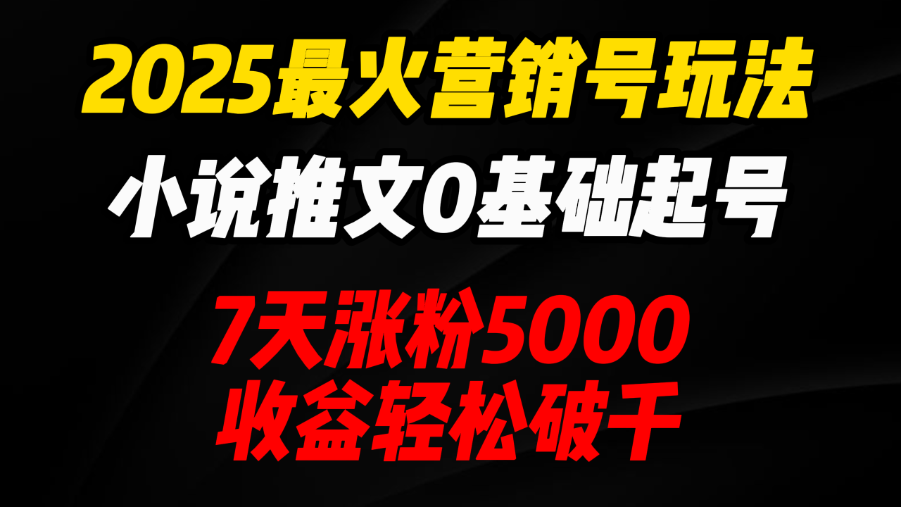 2025最火营销号玩法：小说推文0基础起号，7天涨粉5000，收益轻松破千！-星璨学社