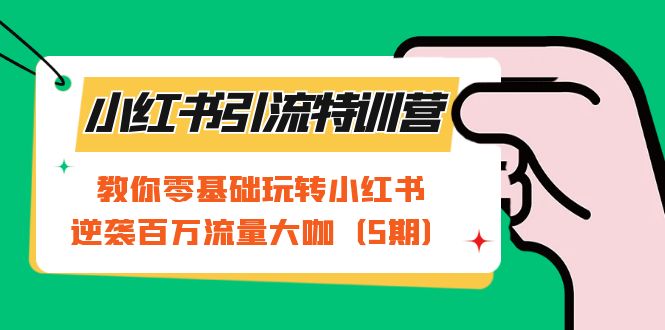 小红书引流特训营-第5期：教你零基础玩转小红书，逆袭百万流量大咖-星璨学社