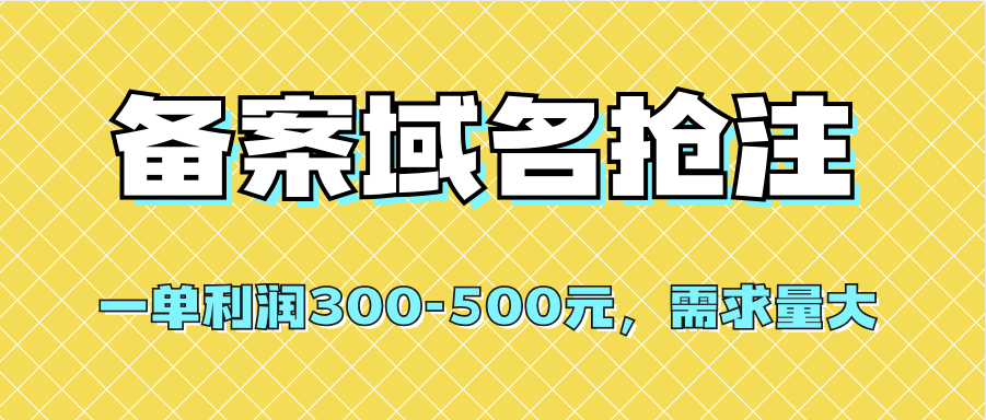 【全网首发】备案域名抢注，一单利润300-500元，需求量大-星璨学社