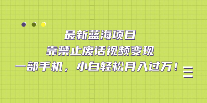 最新蓝海项目，靠禁止废话视频变现，一部手机，小白轻松月入过万！-星璨学社